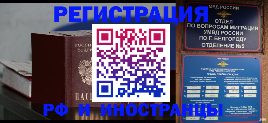 прописка 2025 в Нелидово